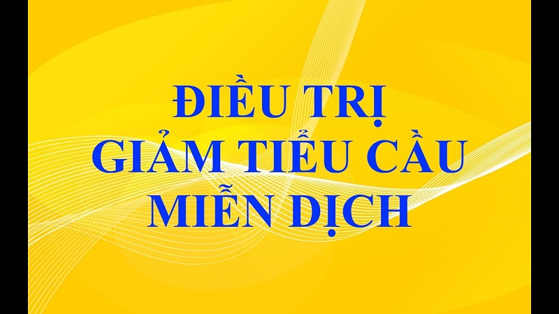 Việc điều trị dựa theo mức độ chảy máu trên lâm sàng và số lượng tiểu cầu